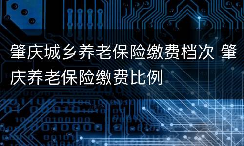 肇庆城乡养老保险缴费档次 肇庆养老保险缴费比例