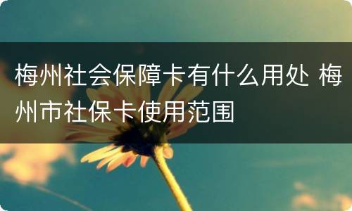 梅州社会保障卡有什么用处 梅州市社保卡使用范围
