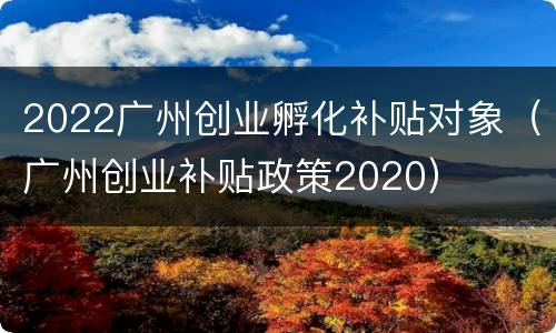 2022广州创业孵化补贴对象（广州创业补贴政策2020）
