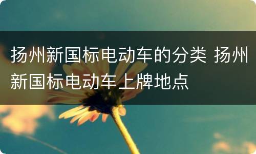 扬州新国标电动车的分类 扬州新国标电动车上牌地点