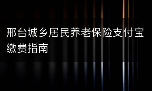 邢台城乡居民养老保险支付宝缴费指南
