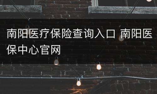 南阳医疗保险查询入口 南阳医保中心官网