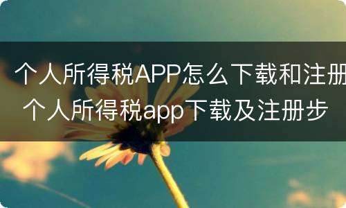 个人所得税APP怎么下载和注册 个人所得税app下载及注册步骤