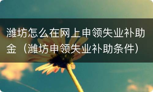 潍坊怎么在网上申领失业补助金（潍坊申领失业补助条件）