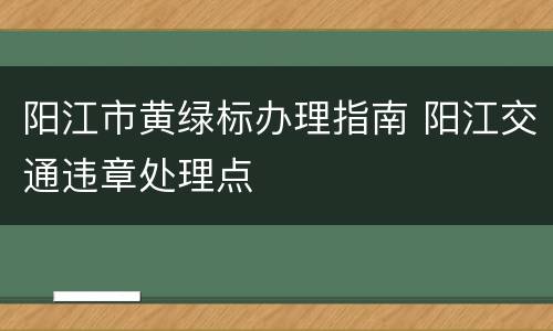阳江市黄绿标办理指南 阳江交通违章处理点
