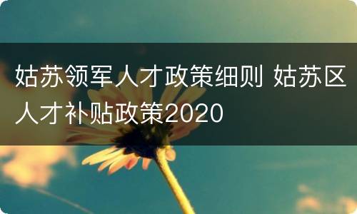 姑苏领军人才政策细则 姑苏区人才补贴政策2020