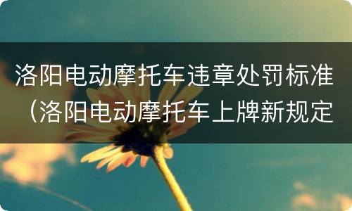 洛阳电动摩托车违章处罚标准（洛阳电动摩托车上牌新规定）
