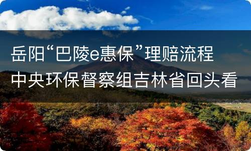 岳阳“巴陵e惠保”理赔流程 中央环保督察组吉林省回头看