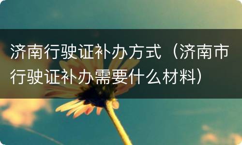 济南行驶证补办方式（济南市行驶证补办需要什么材料）