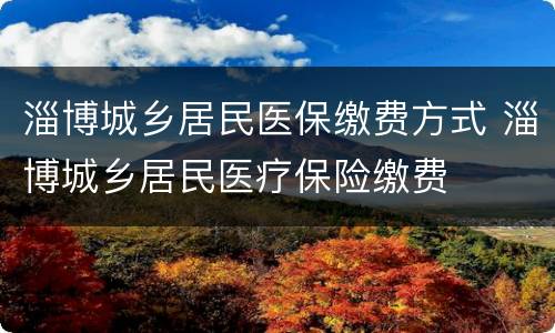 淄博城乡居民医保缴费方式 淄博城乡居民医疗保险缴费