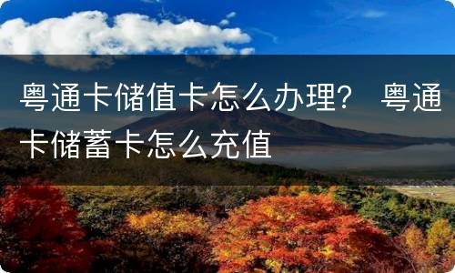 粤通卡储值卡怎么办理？ 粤通卡储蓄卡怎么充值