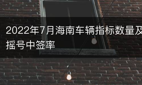 2022年7月海南车辆指标数量及摇号中签率