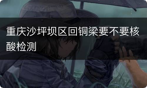 重庆沙坪坝区回铜梁要不要核酸检测