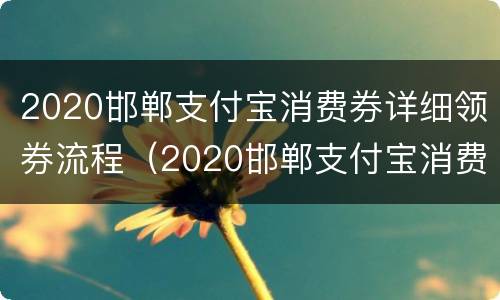 2020邯郸支付宝消费券详细领券流程（2020邯郸支付宝消费券详细领券流程图）
