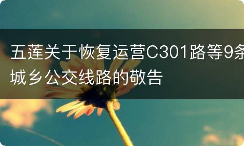 五莲关于恢复运营C301路等9条城乡公交线路的敬告
