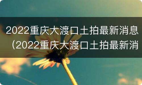2022重庆大渡口土拍最新消息（2022重庆大渡口土拍最新消息公告）