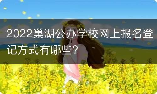 2022巢湖公办学校网上报名登记方式有哪些?
