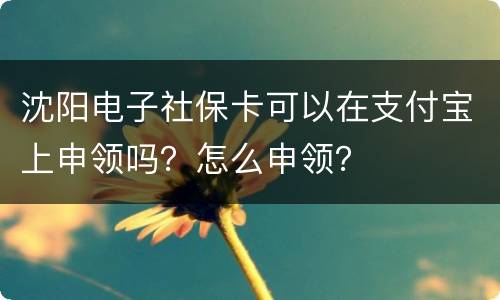 沈阳电子社保卡可以在支付宝上申领吗？怎么申领？