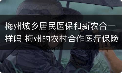 梅州城乡居民医保和新农合一样吗 梅州的农村合作医疗保险可以在深圳用吗