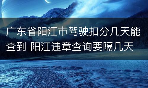 广东省阳江市驾驶扣分几天能查到 阳江违章查询要隔几天