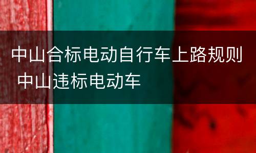 中山合标电动自行车上路规则 中山违标电动车
