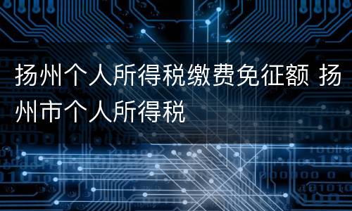 扬州个人所得税缴费免征额 扬州市个人所得税