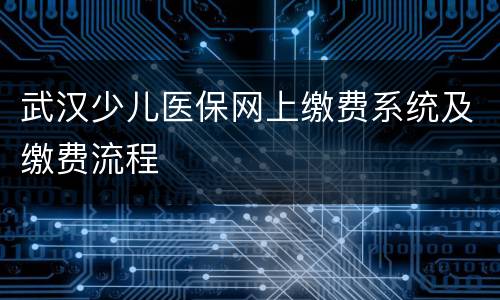 武汉少儿医保网上缴费系统及缴费流程
