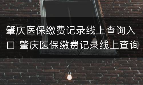 肇庆医保缴费记录线上查询入口 肇庆医保缴费记录线上查询入口官网