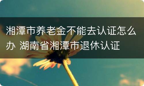 湘潭市养老金不能去认证怎么办 湖南省湘潭市退休认证
