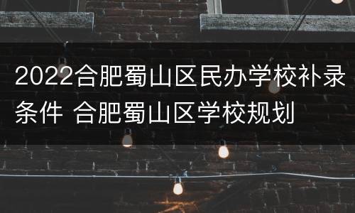2022合肥蜀山区民办学校补录条件 合肥蜀山区学校规划