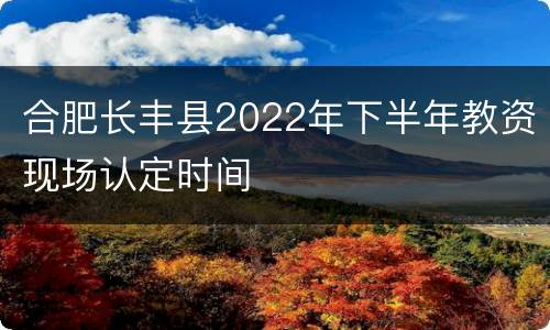 合肥长丰县2022年下半年教资现场认定时间