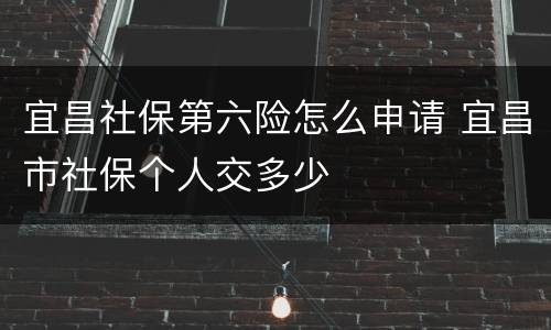 宜昌社保第六险怎么申请 宜昌市社保个人交多少