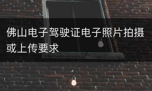佛山电子驾驶证电子照片拍摄或上传要求