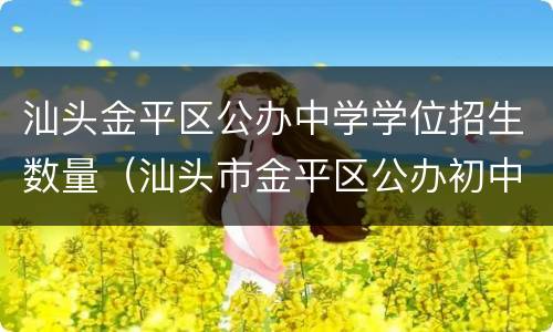 汕头金平区公办中学学位招生数量（汕头市金平区公办初中学校有几个）