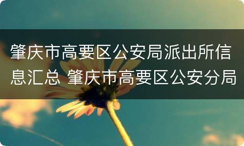 肇庆市高要区公安局派出所信息汇总 肇庆市高要区公安分局
