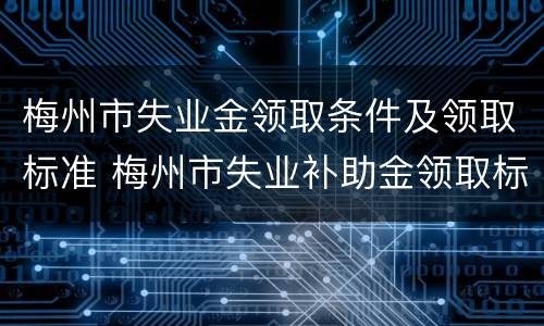 梅州市失业金领取条件及领取标准 梅州市失业补助金领取标准