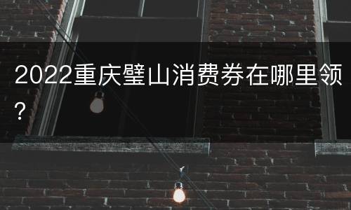2022重庆璧山消费券在哪里领？