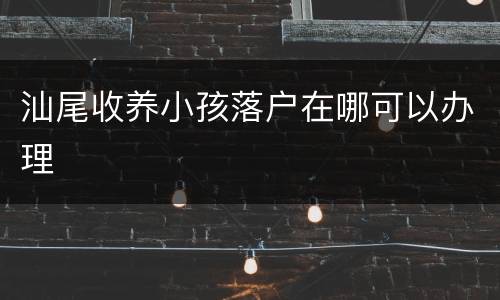 汕尾收养小孩落户在哪可以办理