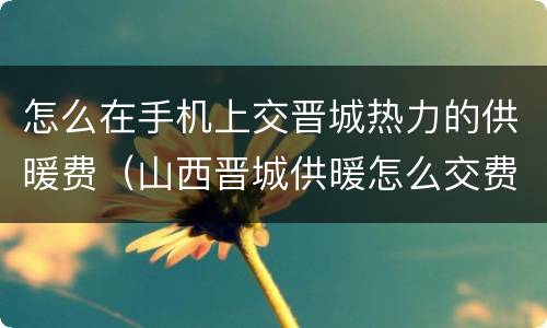 怎么在手机上交晋城热力的供暖费（山西晋城供暖怎么交费）