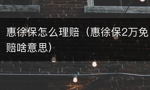 惠徐保怎么理赔（惠徐保2万免赔啥意思）