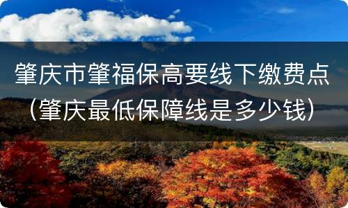 肇庆市肇福保高要线下缴费点（肇庆最低保障线是多少钱）