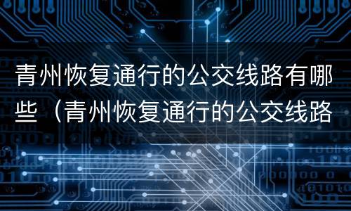 青州恢复通行的公交线路有哪些（青州恢复通行的公交线路有哪些车）
