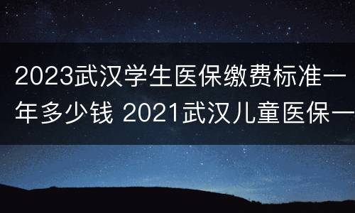 2023武汉学生医保缴费标准一年多少钱 2021武汉儿童医保一年交多少钱