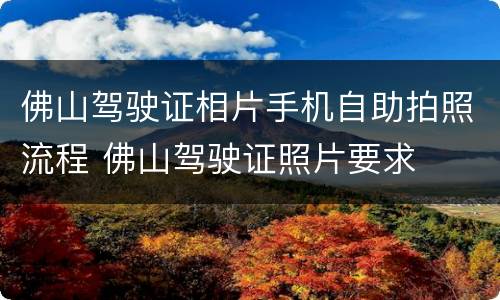 佛山驾驶证相片手机自助拍照流程 佛山驾驶证照片要求
