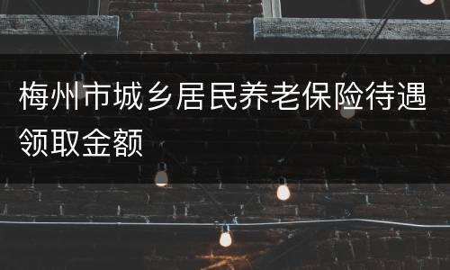 梅州市城乡居民养老保险待遇领取金额
