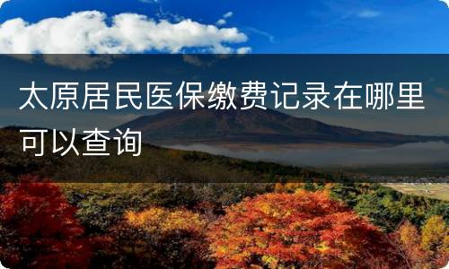 太原居民医保缴费记录在哪里可以查询