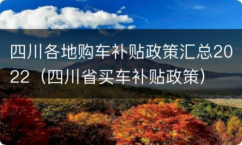 四川各地购车补贴政策汇总2022（四川省买车补贴政策）