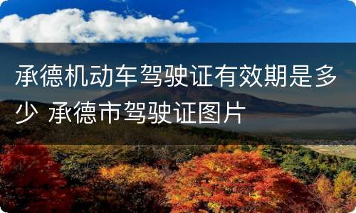 承德机动车驾驶证有效期是多少 承德市驾驶证图片