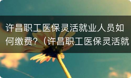 许昌职工医保灵活就业人员如何缴费?（许昌职工医保灵活就业人员如何缴费的）