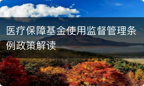 医疗保障基金使用监督管理条例政策解读